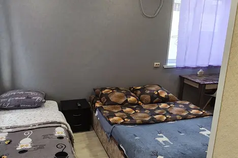 1-комнатная квартира в Артёме, Амурская ул., 24