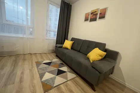 1-комнатная квартира в Московской области, ул. Героя России Филипова, 8