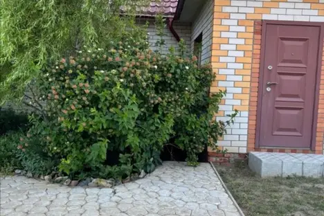 Дом в Яровом, Парковая ул., 18