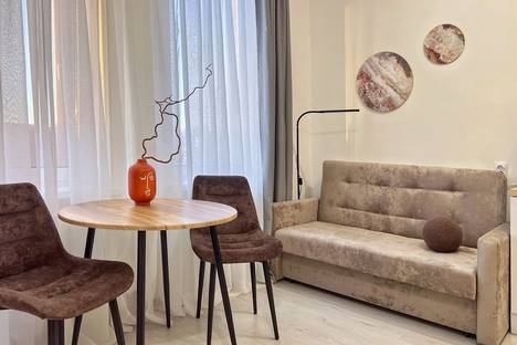 1-комнатная квартира в Санкт-Петербурге, ул. Кустодиева, 5к1