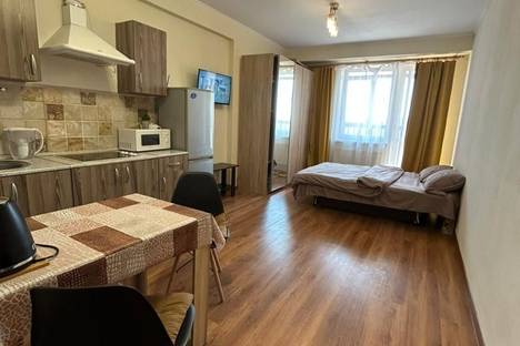 1-комнатная квартира в Старой Купавне, Старая Купавна, ул. Чехова, 4
