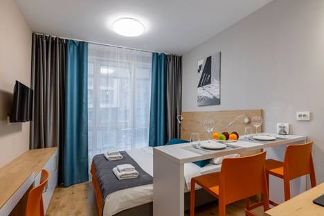 1-комнатная квартира в Парголове, Толубеевский пр-д, 8к2