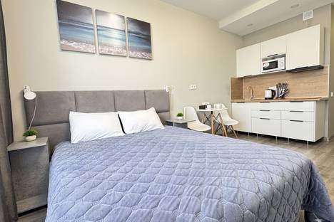 1-комнатная квартира в Санкт-Петербурге, Витебский пр-кт, 99к1, м. Купчино
