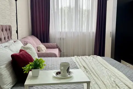 1-комнатная квартира в Саранске, Саранск, Большевистская ул., 109