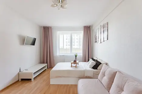 1-комнатная квартира в Екатеринбурге, Екатеринбург, ул. Степана Разина, 122, м. Чкаловская