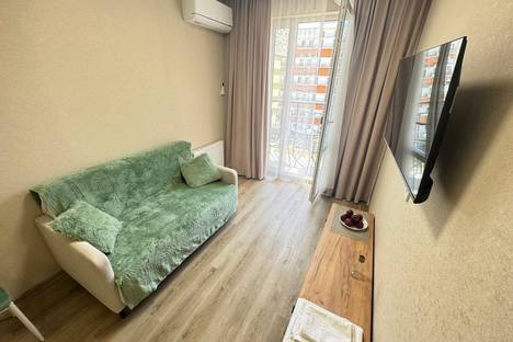 2-комнатная квартира в Адлере, ул. Искры, 88к2