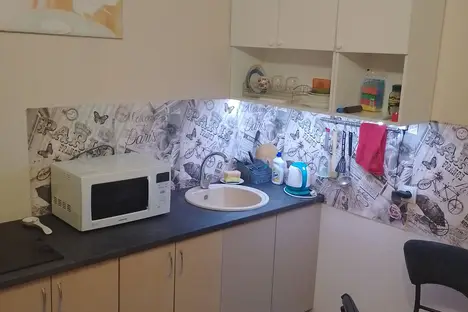 1-комнатная квартира в Мурино, ул. Шувалова, 20к2