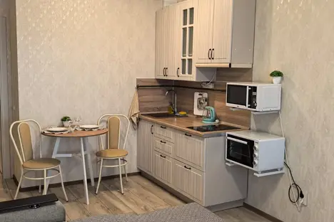 1-комнатная квартира в Санкт-Петербурге, ул. Маршала Казакова, 72к1с1