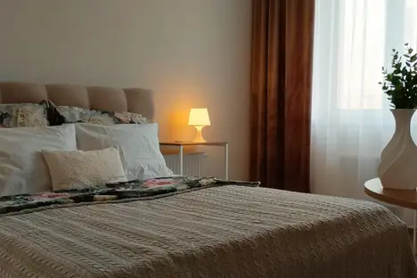 1-комнатная квартира в Екатеринбурге, Екатеринбург, ул. Циолковского, 29Д, м. Чкаловская