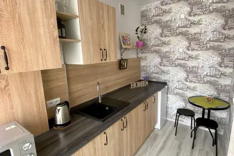 1-комнатная квартира в Светлогорске, Тихая ул., 12