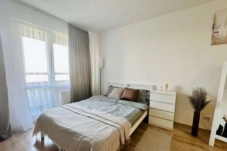 1-комнатная квартира в Санкт-Петербурге, Северный пр-кт, 121к1