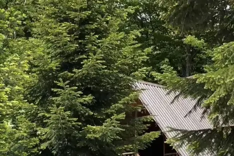 Дом в Архызе, Архыз, кв-л 26