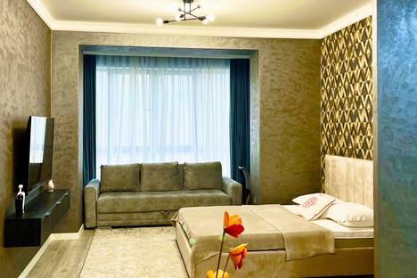 2-комнатная квартира в Алматы, пр-кт Ермека Серкебаева, 101