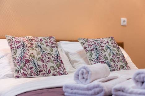 1-комнатная квартира в Санкт-Петербурге, Зверинская ул., 20, м. Спортивная