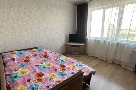 1-комнатная квартира в Великом Новгороде, Державинский р-н , ул. Якова Павлова, 5к1