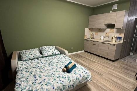 1-комнатная квартира в Великом Новгороде, Колмовская наб., 71А