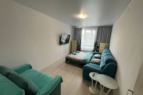 1-комнатная квартира в Сестрорецке, Сестрорецк, Таможенная дор., 11к1с10
