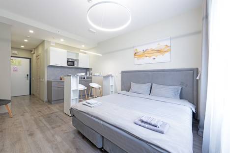 1-комнатная квартира в Санкт-Петербурге, Витебский пр-кт, 99к1, м. Купчино