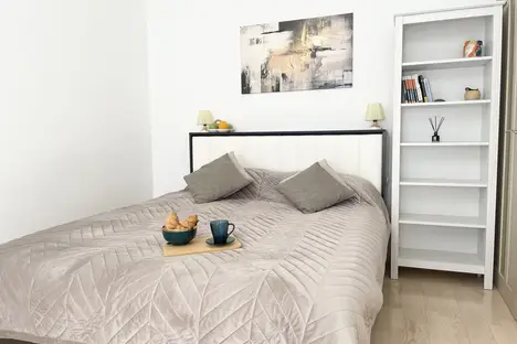 1-комнатная квартира в Санкт-Петербурге, пр-кт Медиков, 10к2, м. Петроградская