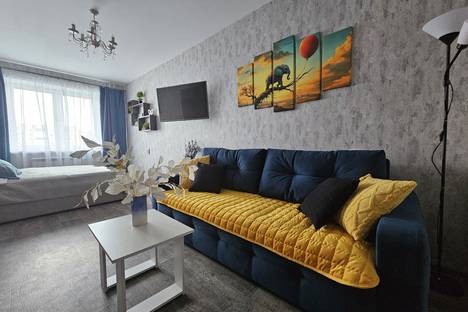 1-комнатная квартира в Красном Бору, кв-л Светлояр, 1к4
