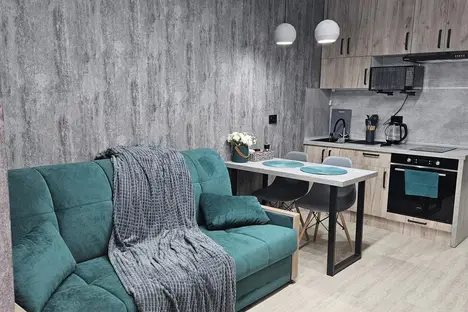 1-комнатная квартира в Екатеринбурге, Екатеринбург, ул. Новостроя, 7