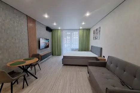 1-комнатная квартира в Санкт-Петербурге, Богатырский пр-кт, 2А, м. Пионерская