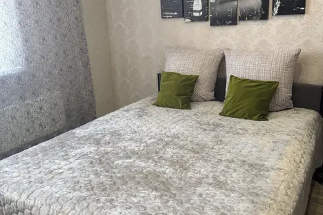 1-комнатная квартира в Иркутске, Иркутск, ул. Летописца Нита Романова, 15
