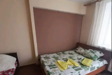 1-комнатная квартира в Нижнем Новгороде, ул. Белинского, 89