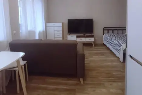 1-комнатная квартира в Санкт-Петербурге, Заневский пр-кт, 42