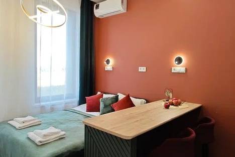 Однокомнатная квартира в аренду посуточно в Иннополисе по адресу Спортивная ул., 98