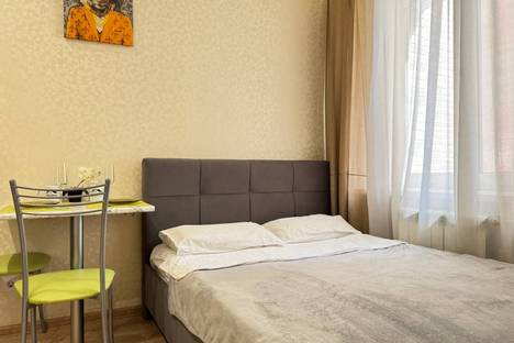 1-комнатная квартира в Новосибирске, ул. Серафимовича, 8, м. Площадь Маркса