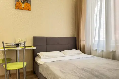 1-комнатная квартира в Новосибирске, ул. Серафимовича, 8, м. Площадь Маркса