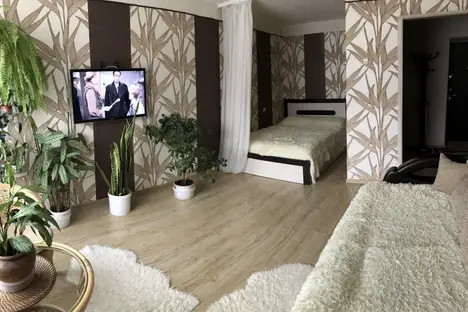 1-комнатная квартира в Екатеринбурге, Екатеринбург, ул. Мамина-Сибиряка, 59
