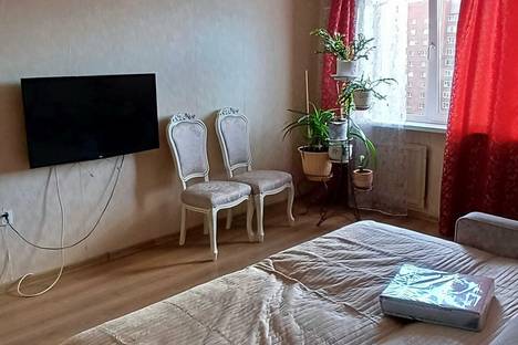 Однокомнатная квартира в аренду посуточно в Санкт-Петербурге по адресу Ленинский пр-кт, 92к3