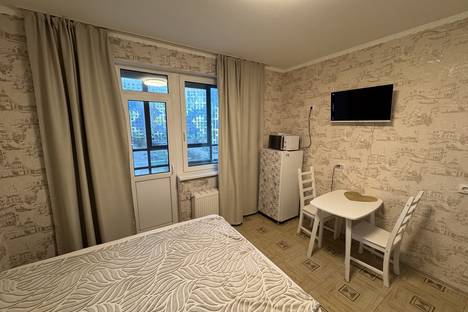 1-комнатная квартира в Санкт-Петербурге, Среднерогатская ул., 16к4