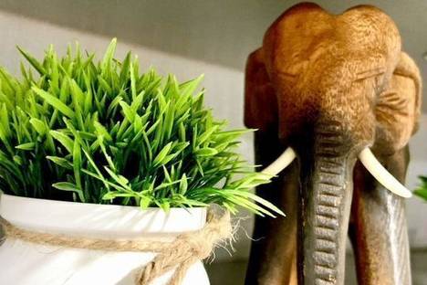 1-комнатная квартира в Чебоксарах, жилой р-н  Северо-Западный, мкр. Волжский-3, ул. Спортсмена Валериана Соколова, 6к1