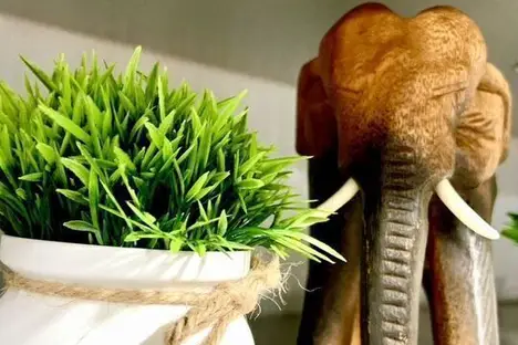 1-комнатная квартира в Чебоксарах, жилой р-н  Северо-Западный, мкр. Волжский-3, ул. Спортсмена Валериана Соколова, 6к1