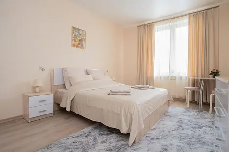 1-комнатная квартира в Санкт-Петербурге, Парфёновская ул., 14к1, м. Фрунзенская
