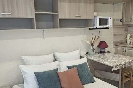 1-комнатная квартира в Сестрорецке, Сестрорецк, ул. Борисова, 8к1
