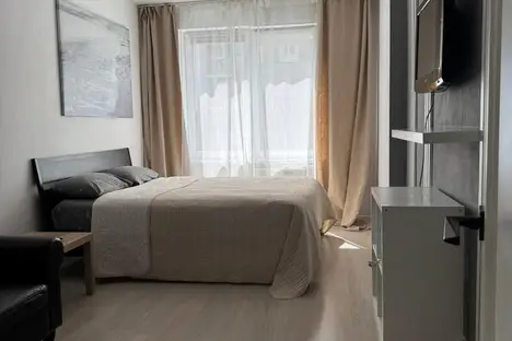 1-комнатная квартира в Екатеринбурге, Екатеринбург, ул. Рябинина, 29