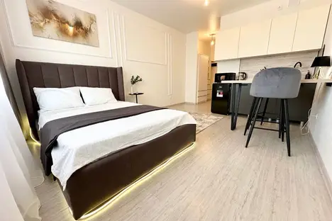 1-комнатная квартира в Екатеринбурге, Екатеринбург, ул. Фрунзе, 31