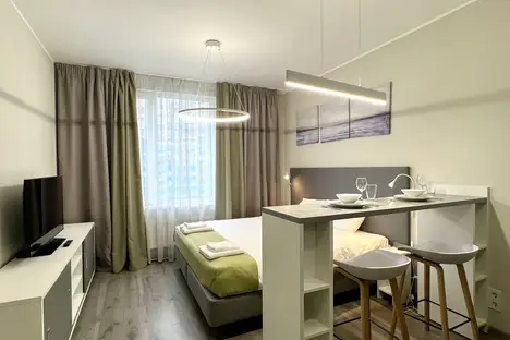 1-комнатная квартира в Санкт-Петербурге, Витебский пр-кт, 101к1