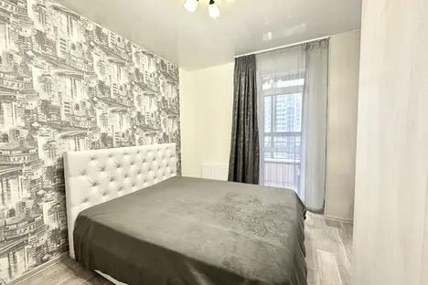 1-комнатная квартира в Екатеринбурге, Екатеринбург, ул. Шейнкмана, 86А