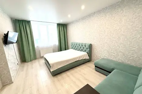 2-комнатная квартира в Екатеринбурге, Екатеринбург, Миасская ул., 12