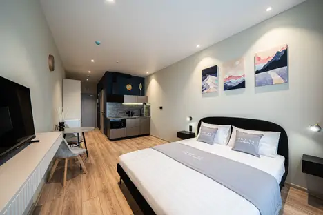 1-комнатная квартира в Санкт-Петербурге, пр-кт Энергетиков, 8к2