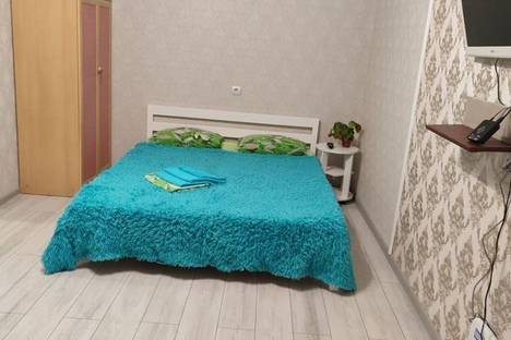Однокомнатная квартира в аренду посуточно в Барнауле по адресу Партизанская ул., 203