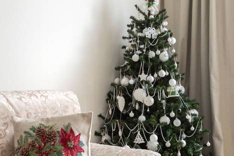 1-комнатная квартира в Санкт-Петербурге, 7-я лн. Васильевского острова, 30