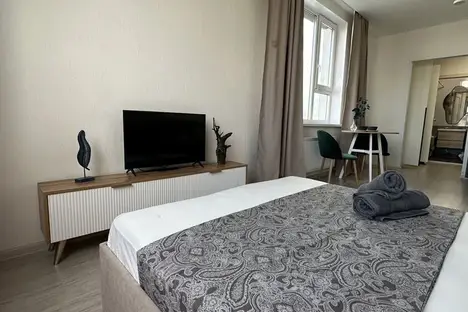 1-комнатная квартира в Екатеринбурге, Екатеринбург, ул. Фрунзе, 31
