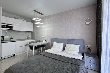 1-комнатная квартира в Иркутске, Иркутск, ул. Пискунова, 148/8
