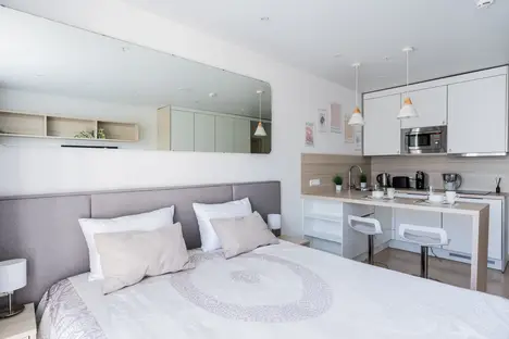 1-комнатная квартира в Санкт-Петербурге, Социалистическая ул., 21